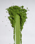 Chikka Matcha