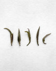 Tsuguto Hattori Hand Picked Silver Needle Tea