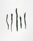 Sumire Sencha