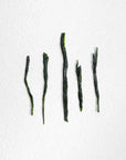 Sumire Sencha