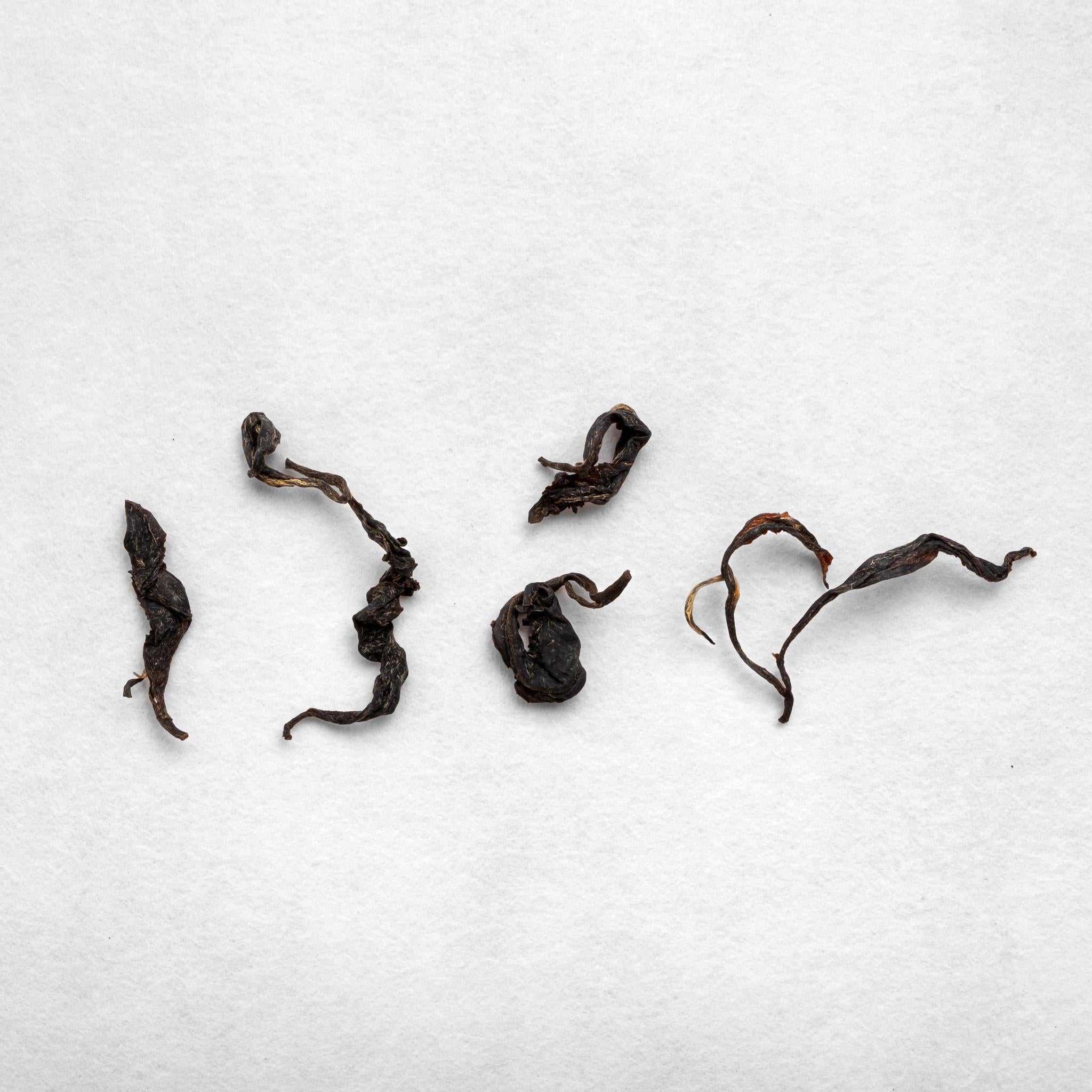 Tsuguto Hattori Hand Picked Black Tea – Kettl