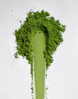 Shirakawa Asahi Matcha