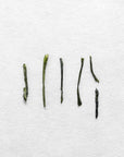 Chiran Sencha