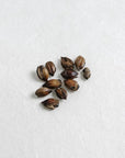 Tokyo Mugicha Teabags