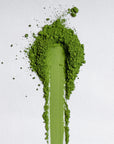 Kohata Matcha