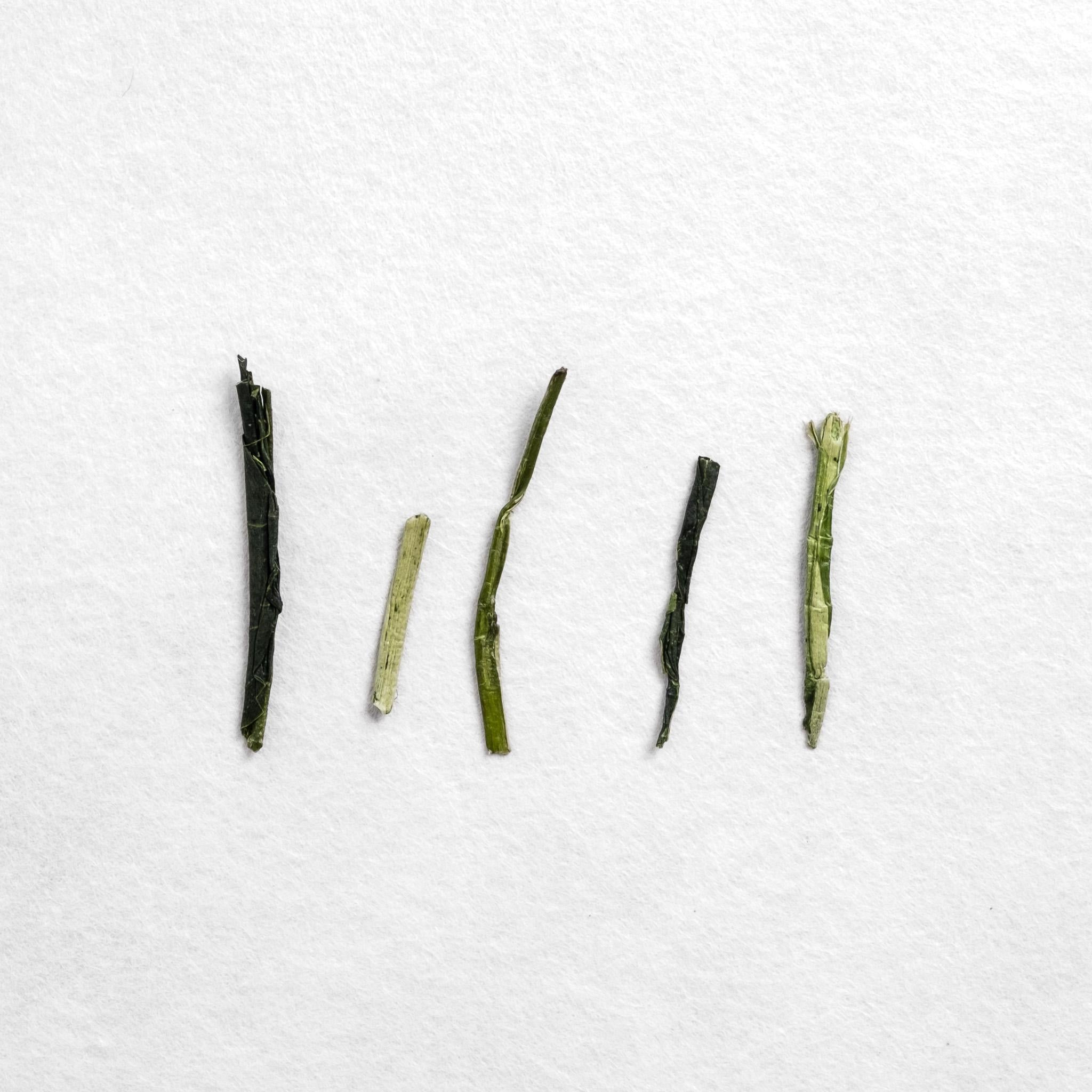 Shibushi Organic Karigane Kukicha – Kettl