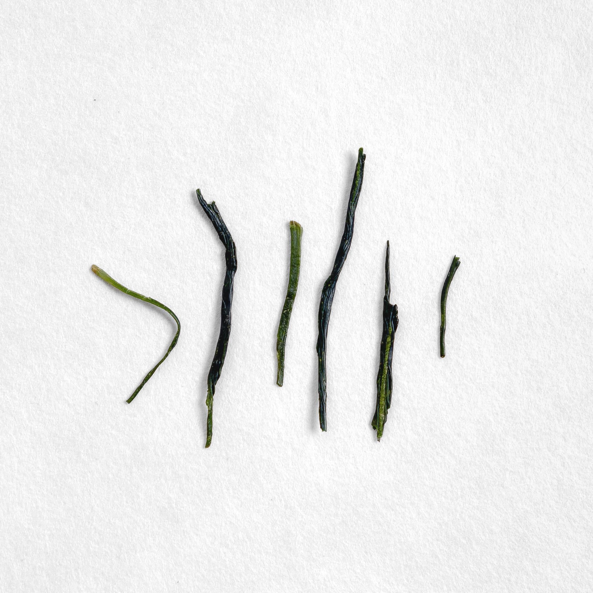 Yabukita Kabuse Sencha – Kettl