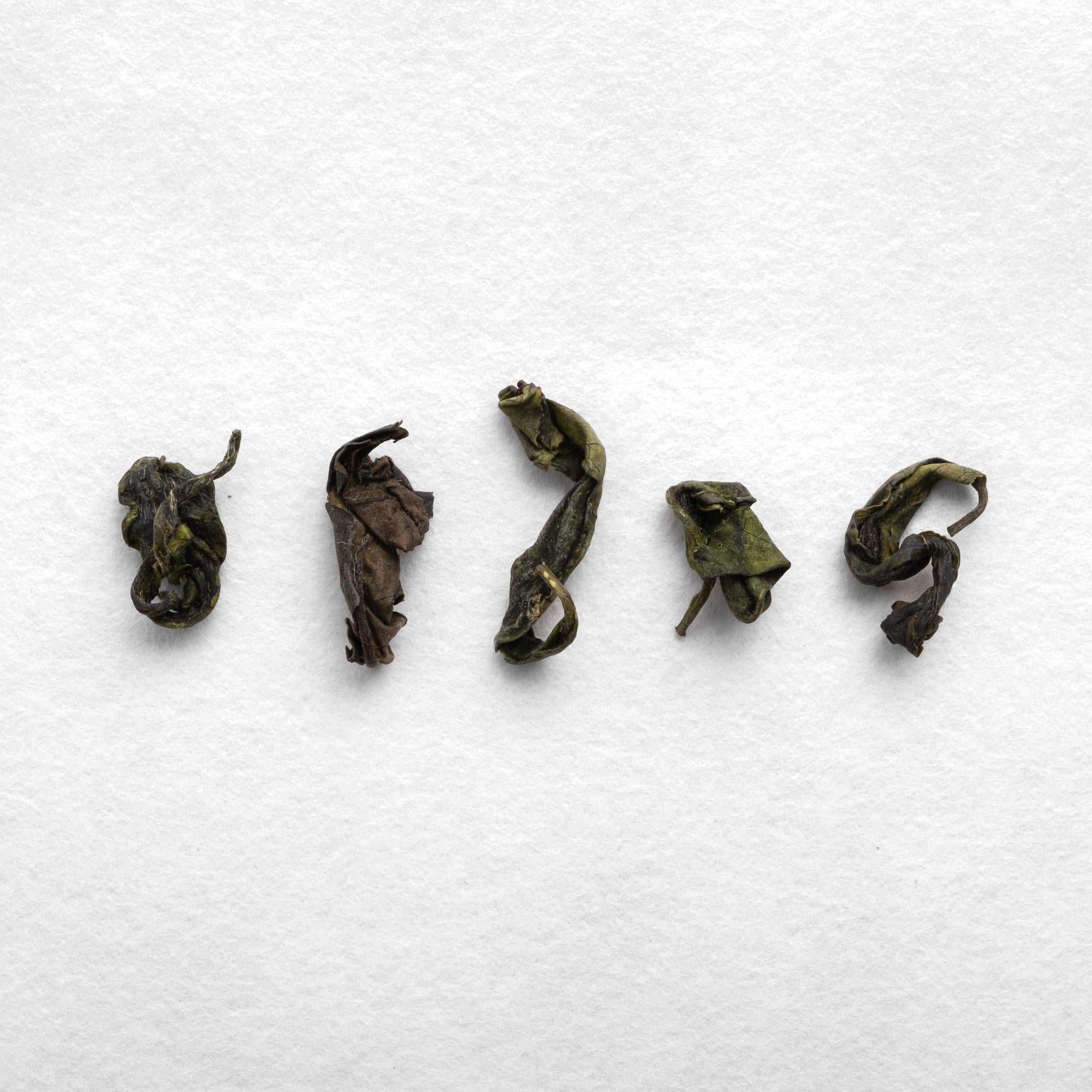 chaiさま Sayama Micro-oxidized Kamairicha – Kettl