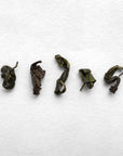 Yoshiaki Hiruma Micro-oxidized Kamairicha (Pre-Order)
