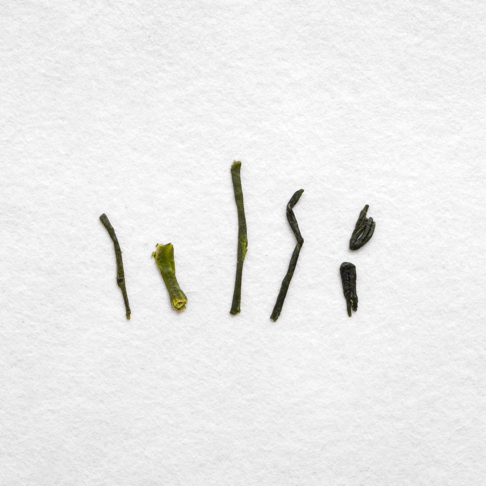 Chiran Sencha – Kettl