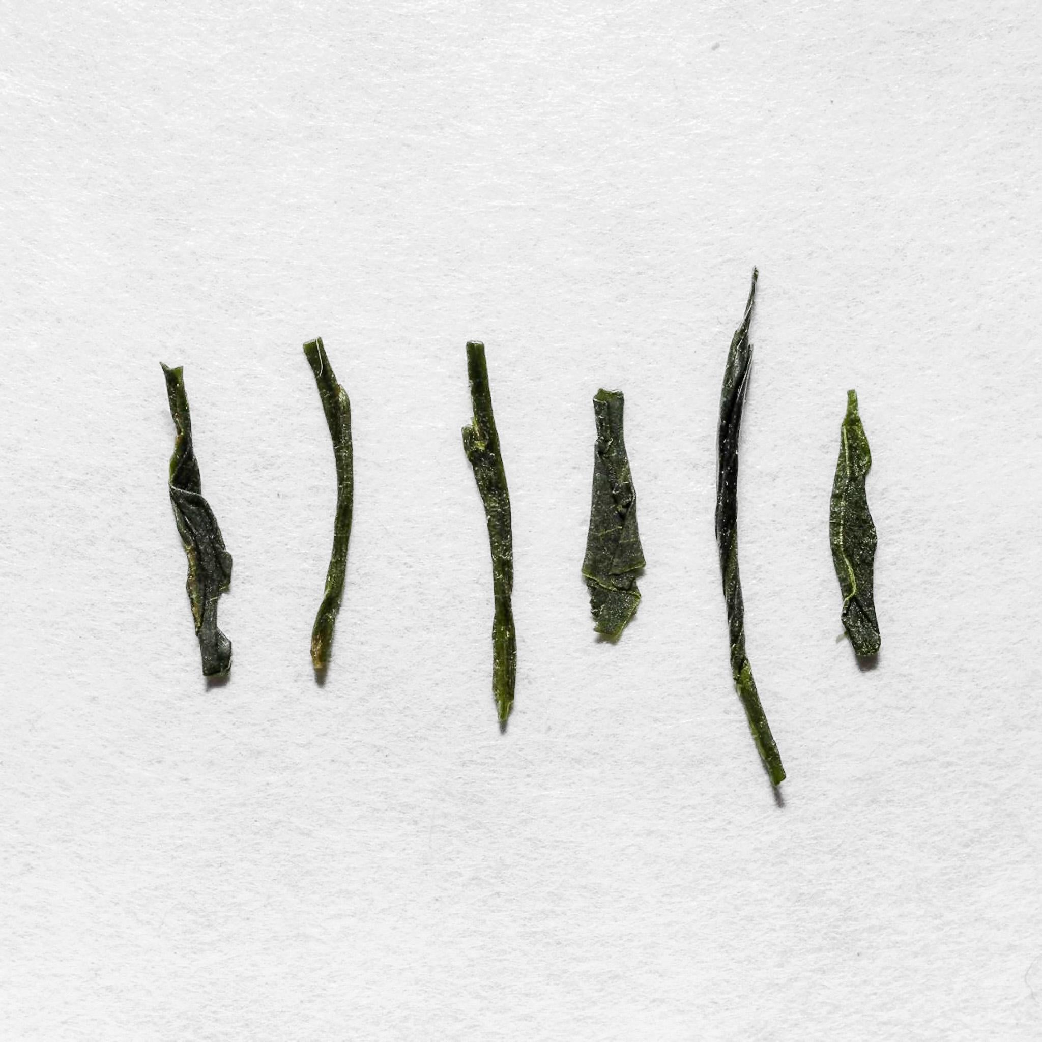 Uji no Sato Sencha Japanese Green Tea | Kettl Tea