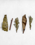 Iribancha Houjicha