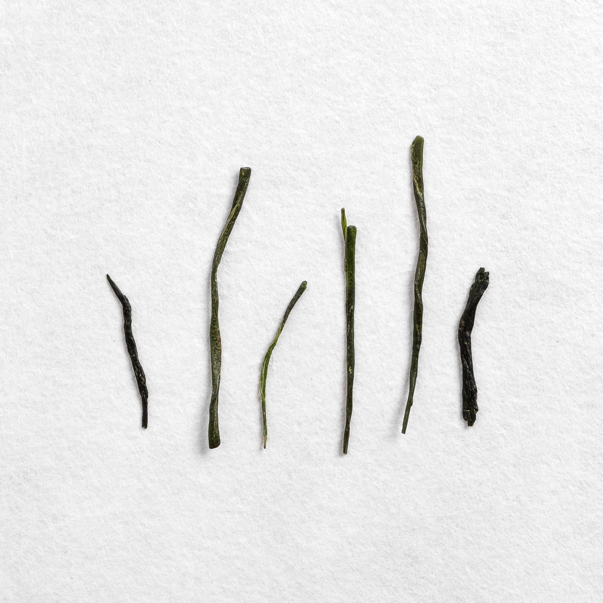 Shibushi Organic Haruto 34 Gyokuro – Kettl