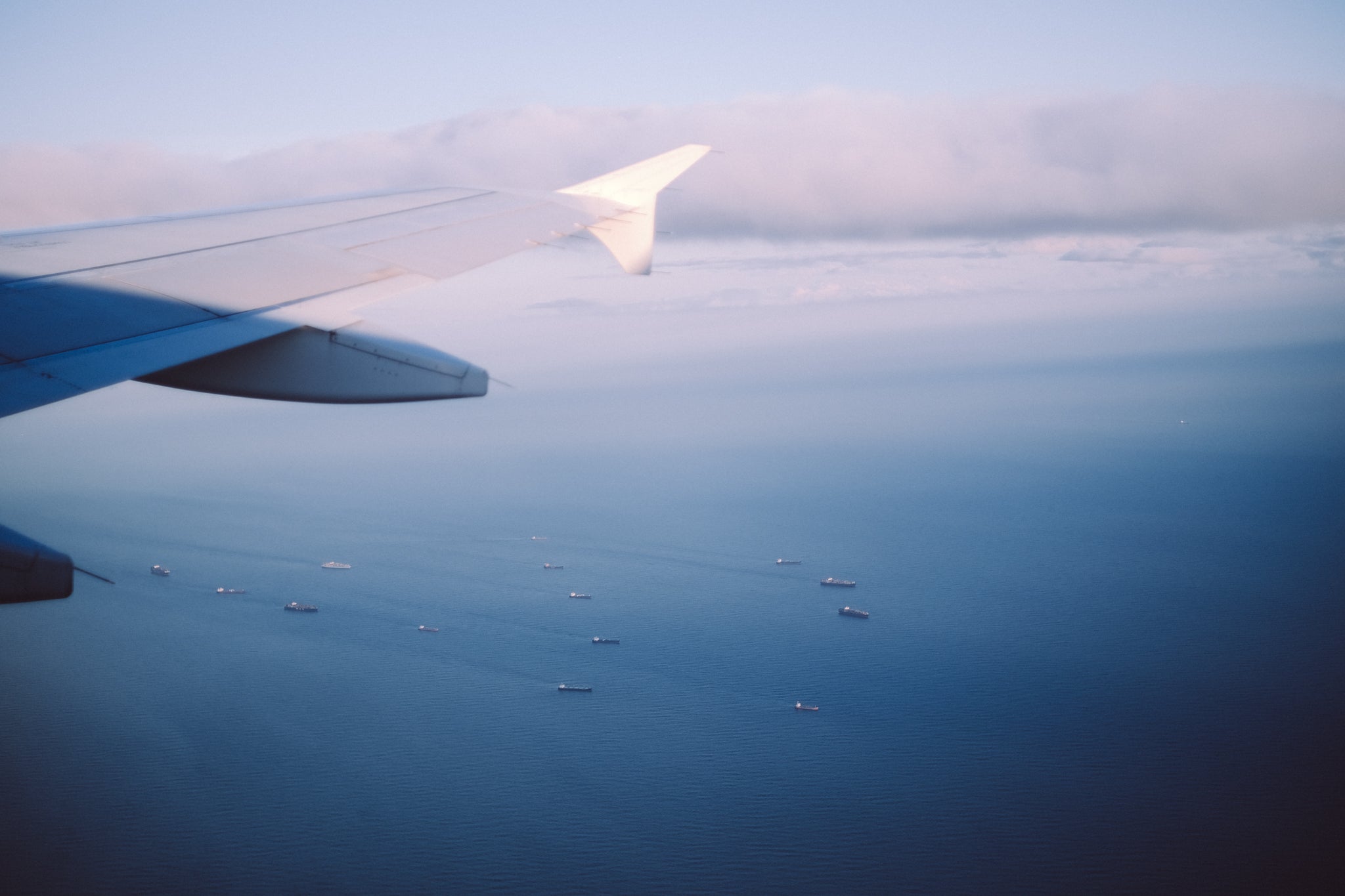 Sourcing 2023 - In Search of Japan's Finest Teas