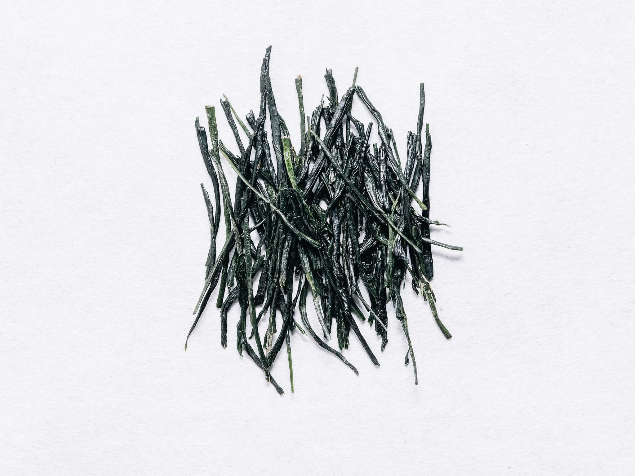 Tea plant