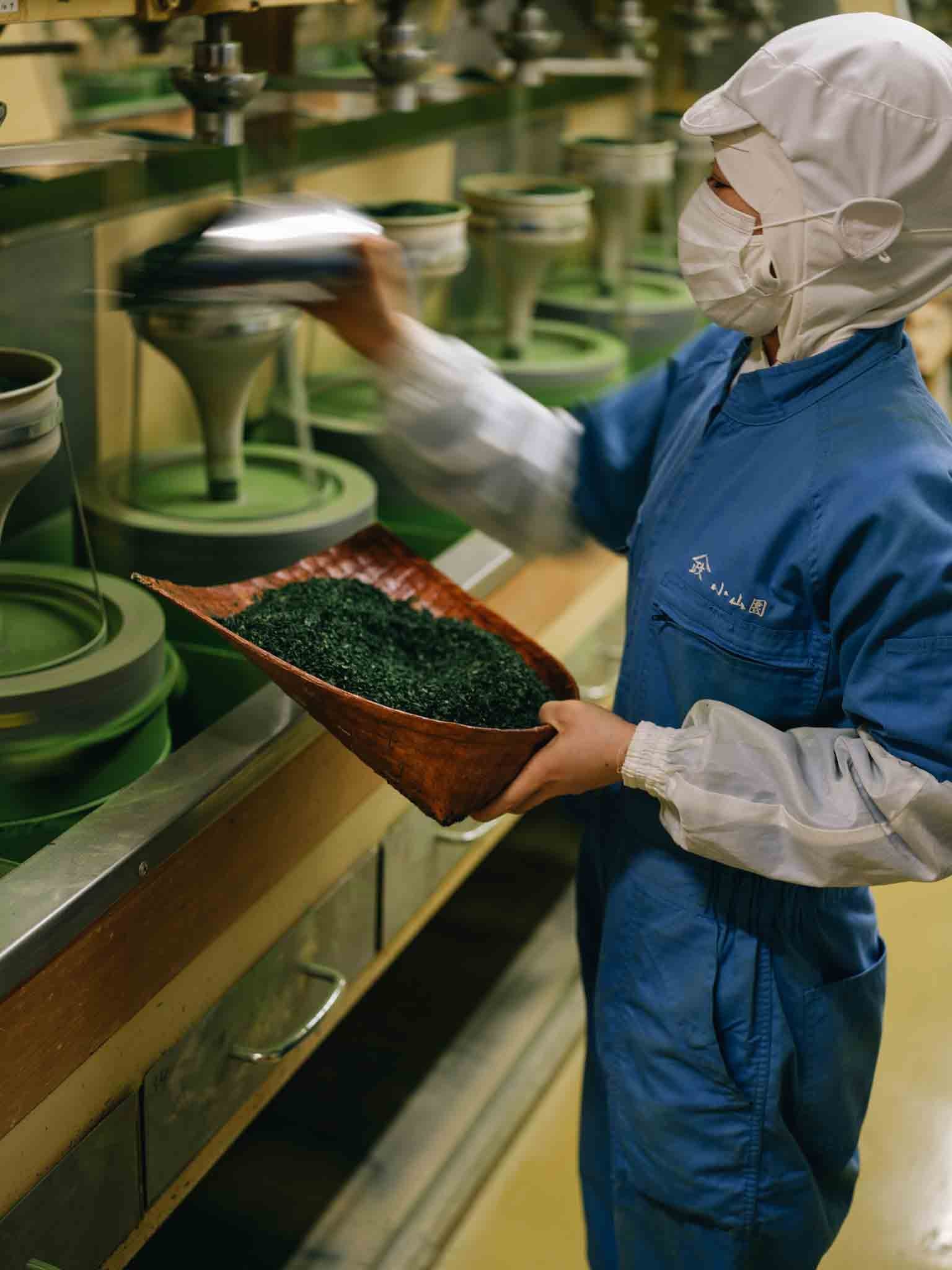Matcha Pricing: 2026 Update – Kettl