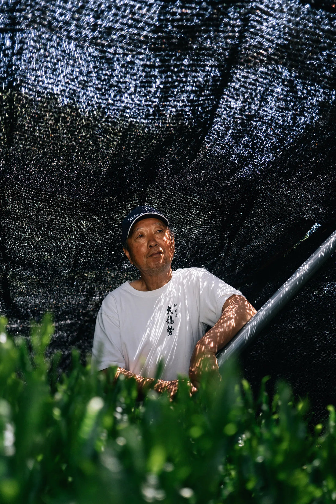 The Great Matcha Shortage Interlude: one way we are coping with the shortage.