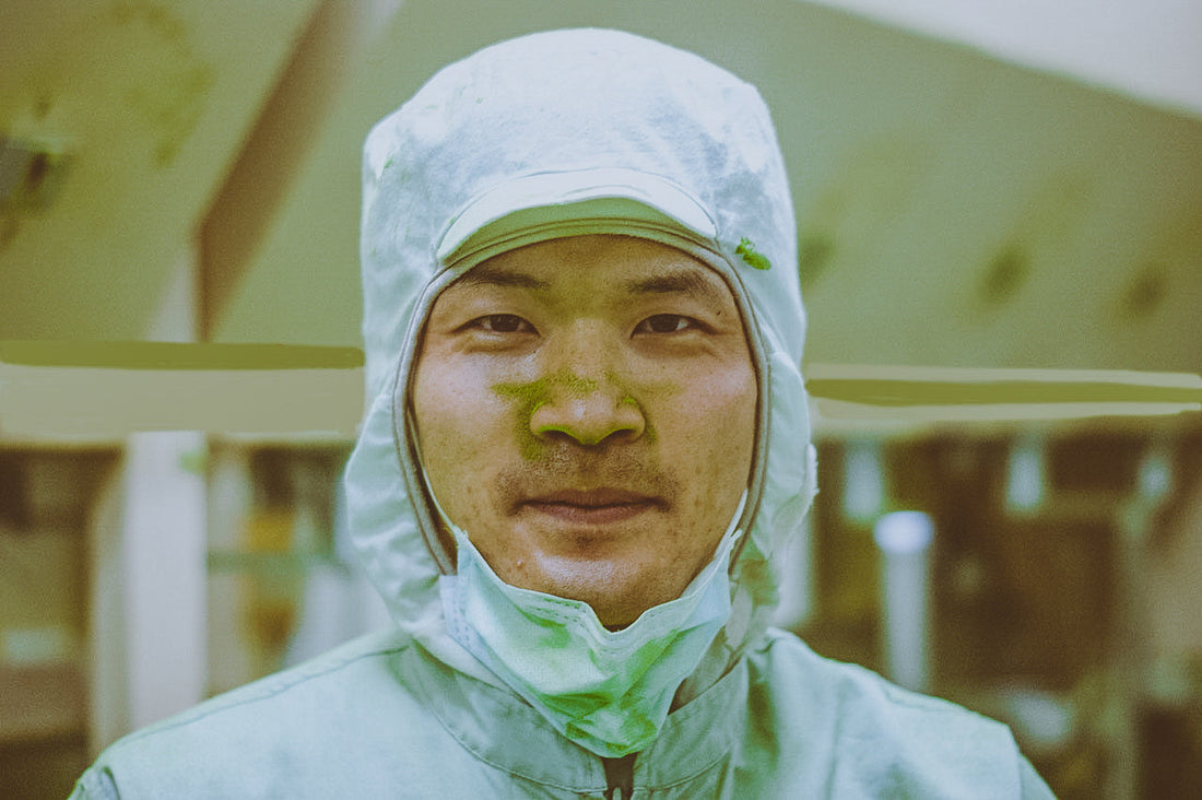 The Great Matcha Shortage: Sales and distribution