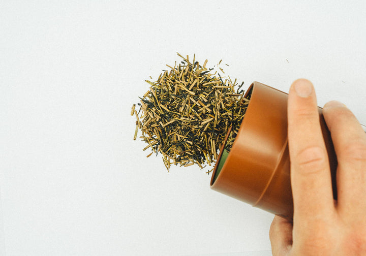 Hojicha: Japan's Ultimate Comfort Tea