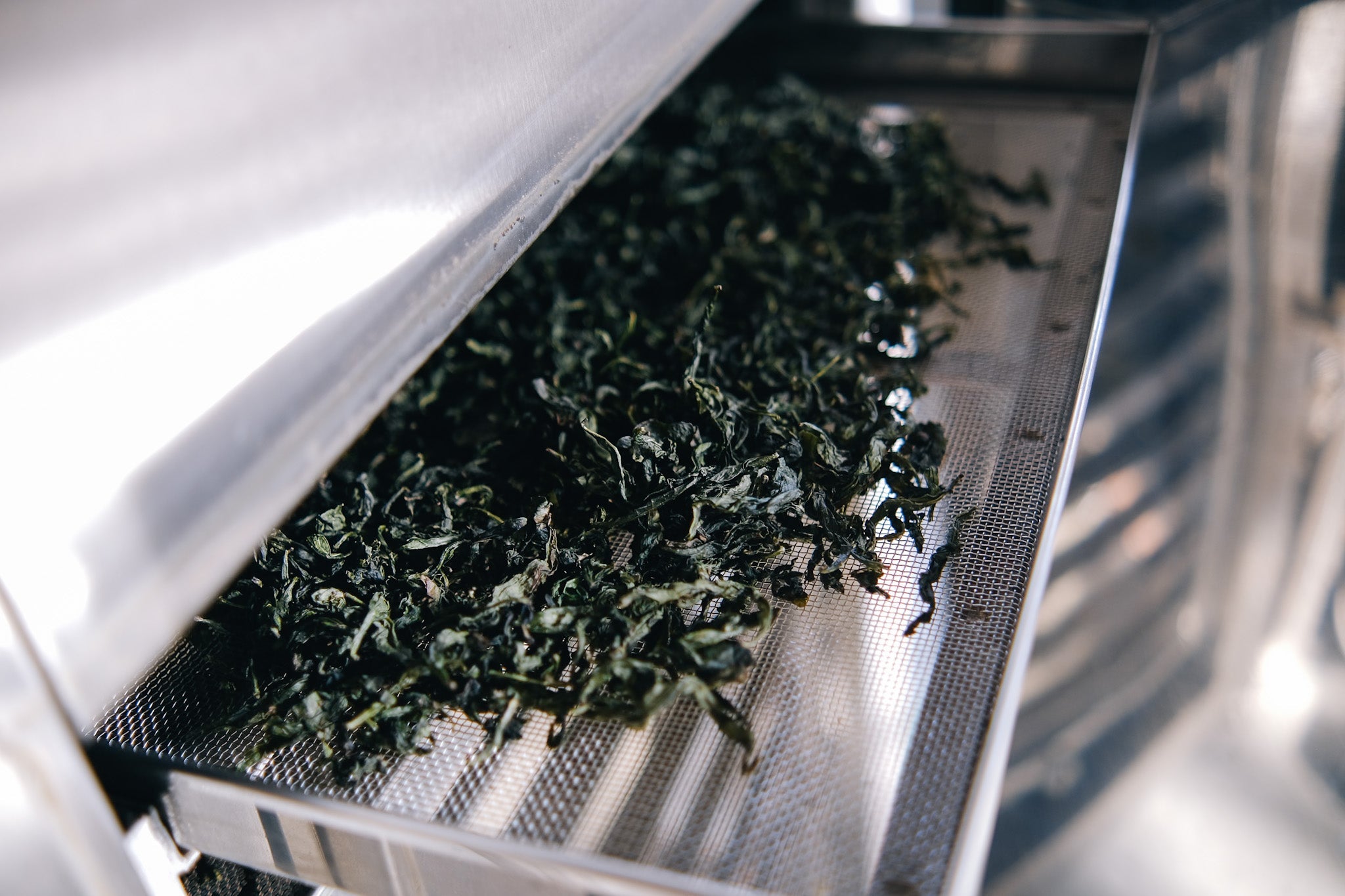 Yoshiaki Hiruma Collection