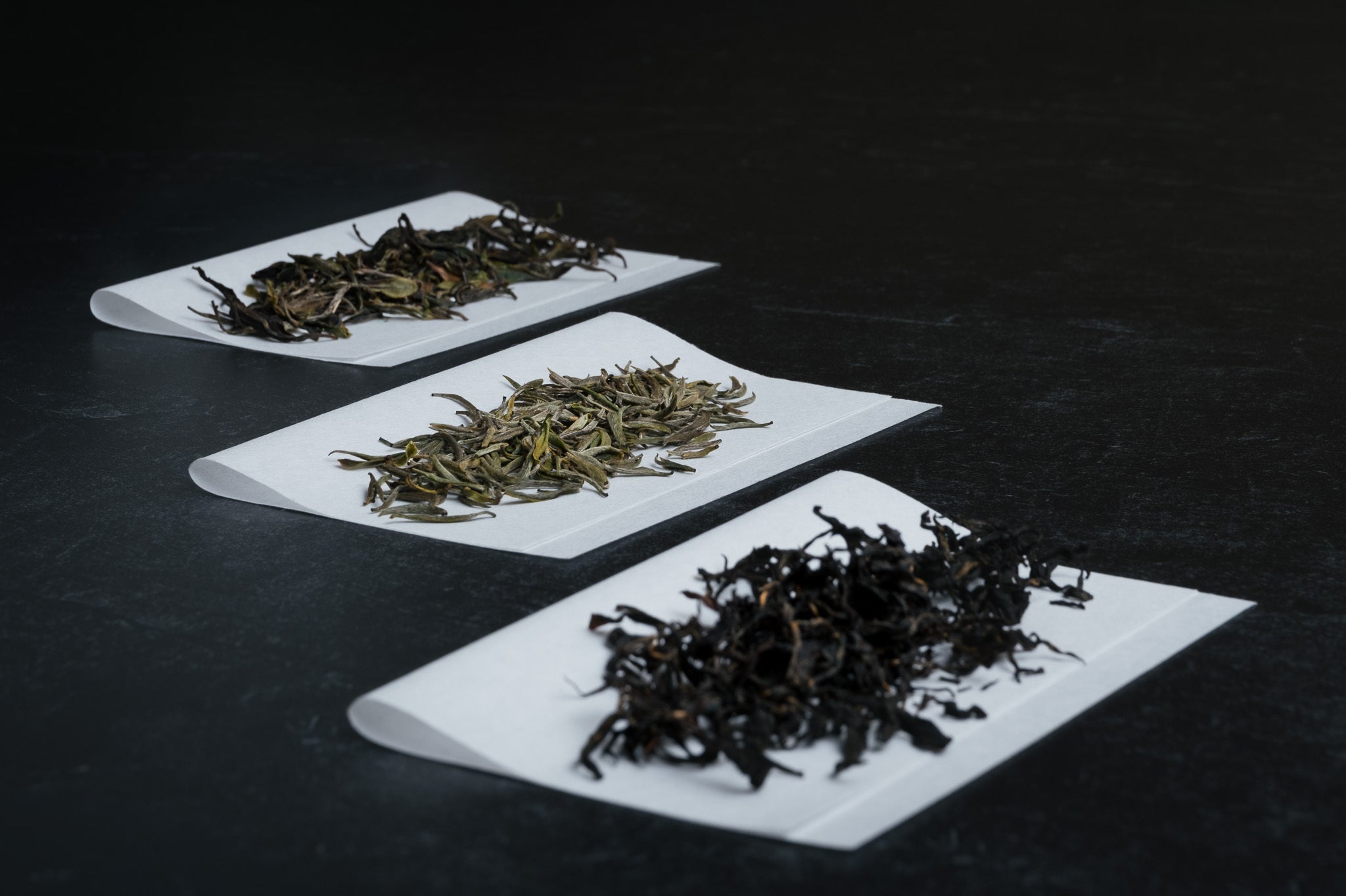 Tsuguto Hattori Hand Picked Tea Collection