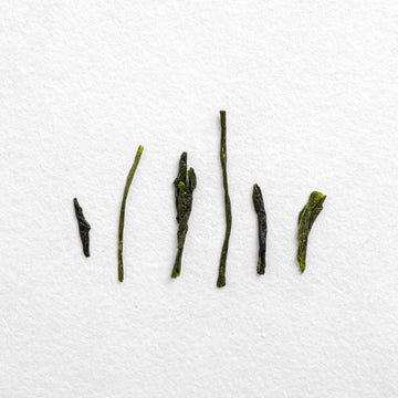 Fall Shincha (Pre-Order)