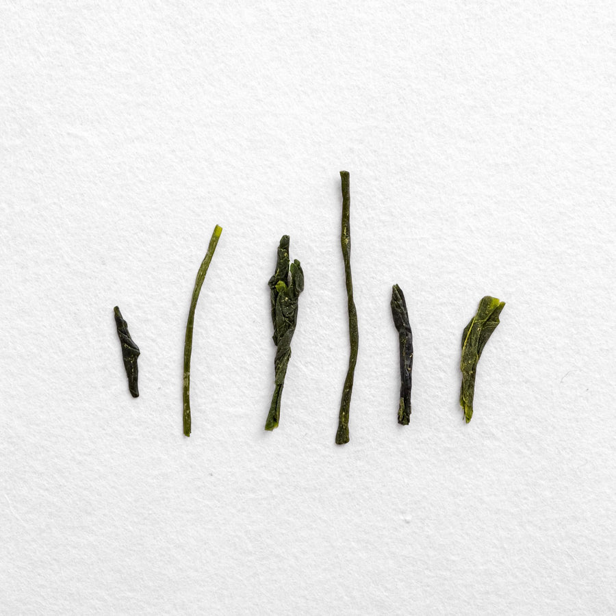 Fall Shincha (Pre-Order)