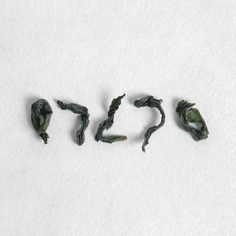 Sashima Izumi Oolong