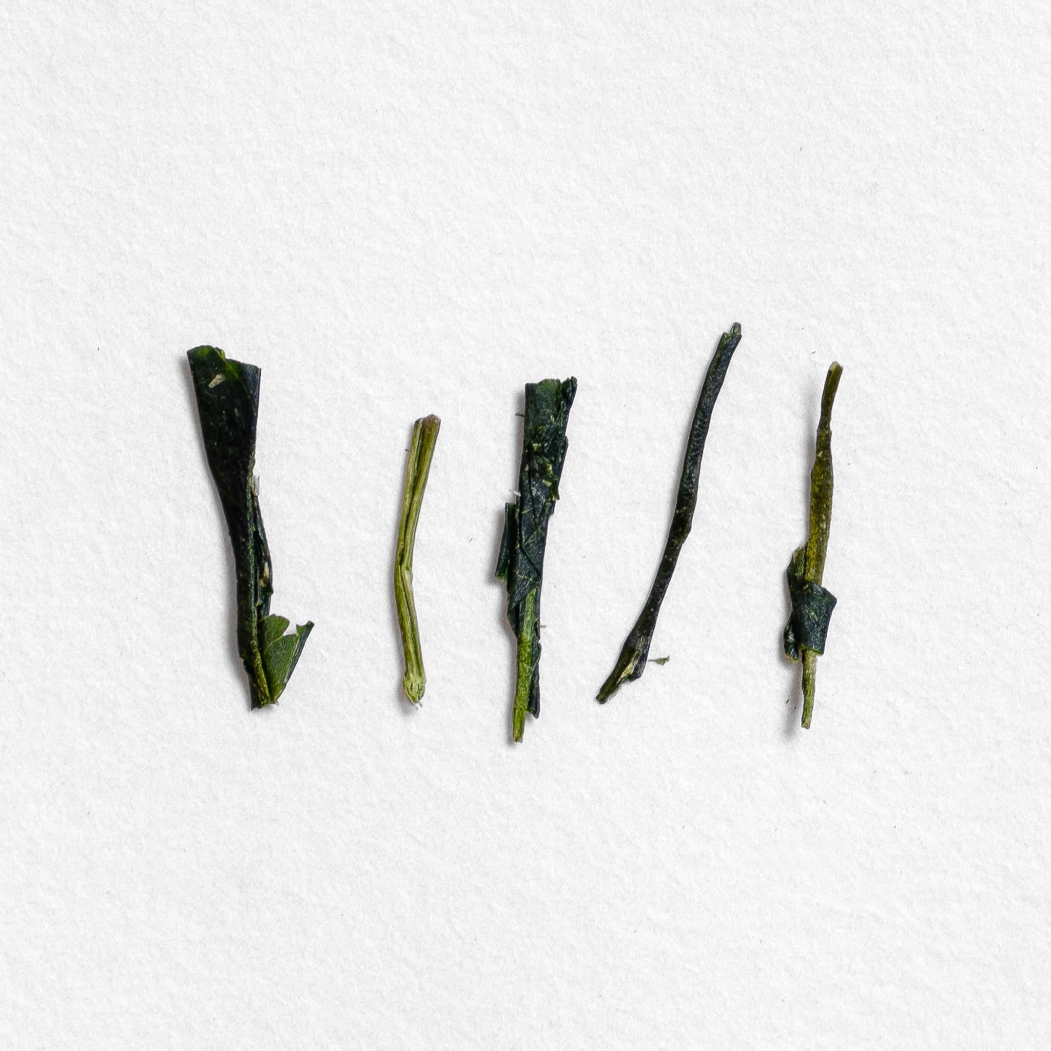 Minamata Tsuyuhikari Sencha