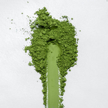 Shirakawa Midori Matcha