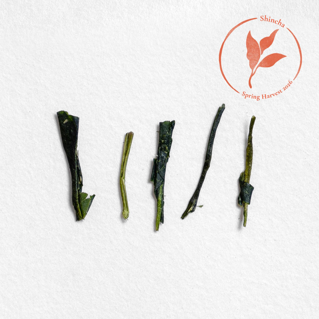 Minamata Tsuyuhikari Kabuse Shincha