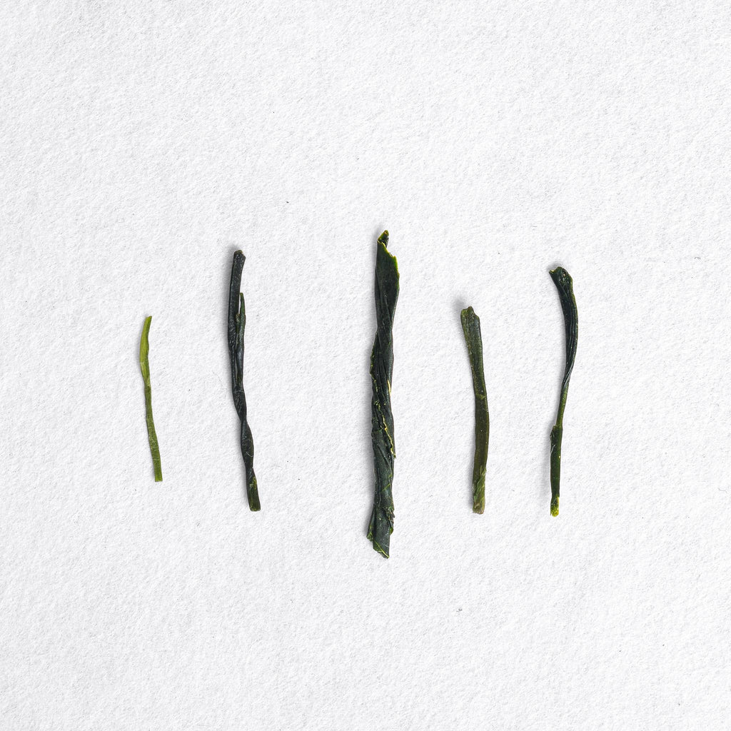 Dosenbo Yabukita Sencha