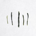 Dosenbo Yabukita Sencha