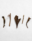 House Roasted Zairai Houjicha