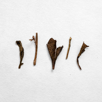 House Roasted Zairai Houjicha