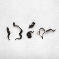Tsuguto Hattori Hand Picked Black Tea