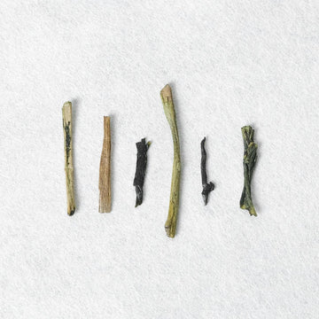 Koetsu Houjicha