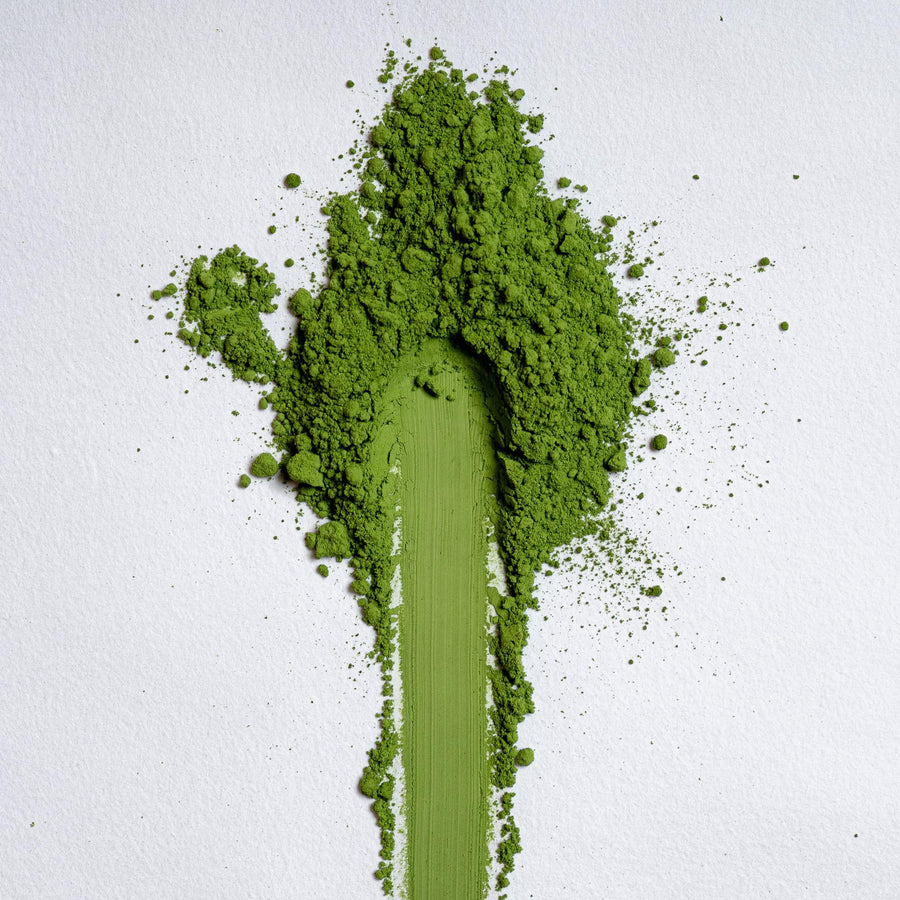 Yamagumo Matcha