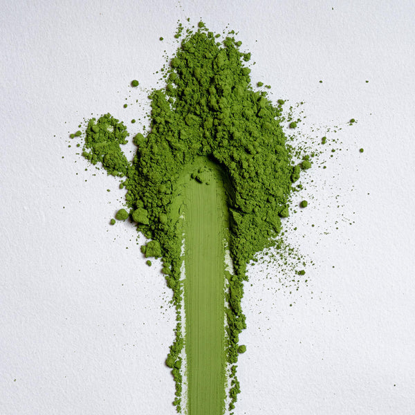 画材 Matcha Lake Stupell-Industries-Lake-s-Edge
