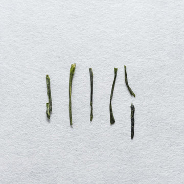 Miyabi Sencha