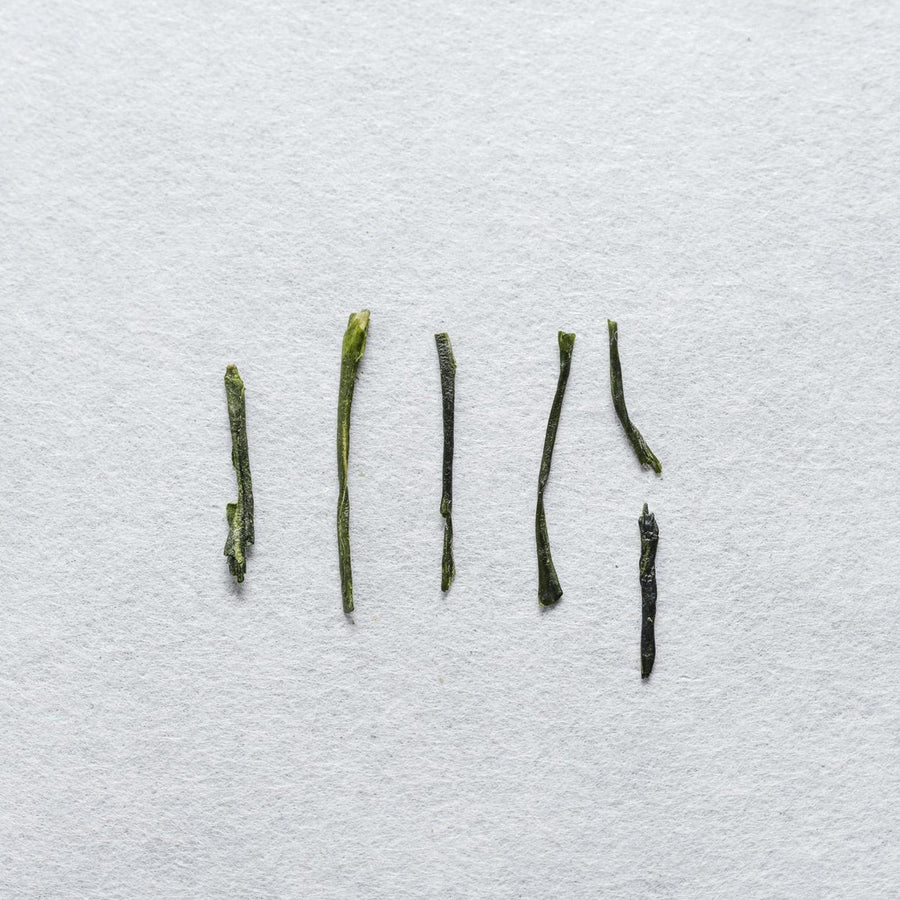 Miyabi Sencha