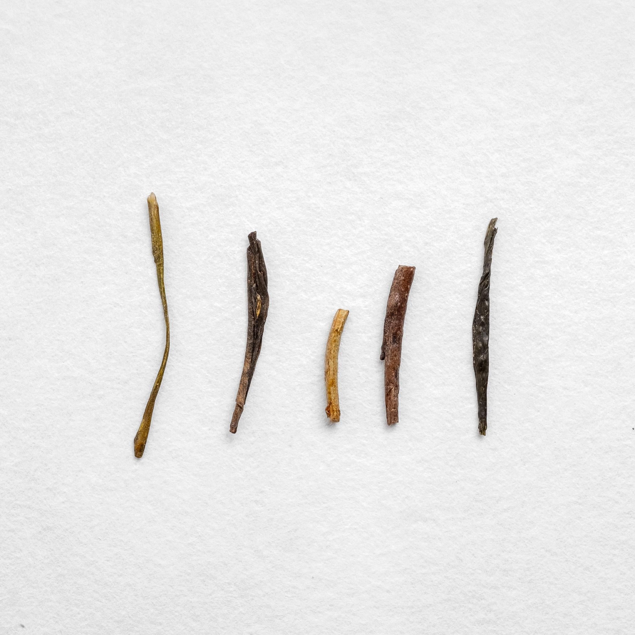 House Roasted Tanegashima Houjicha