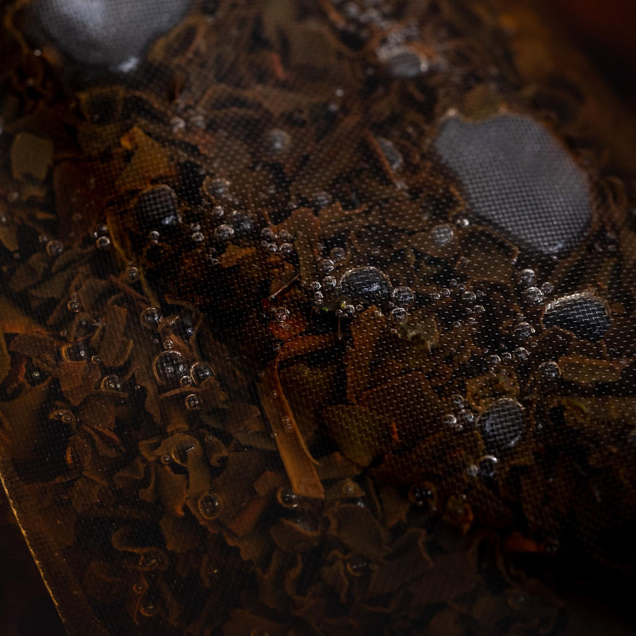 Kumamoto Blended Wakoucha Tea Bags | Pouch