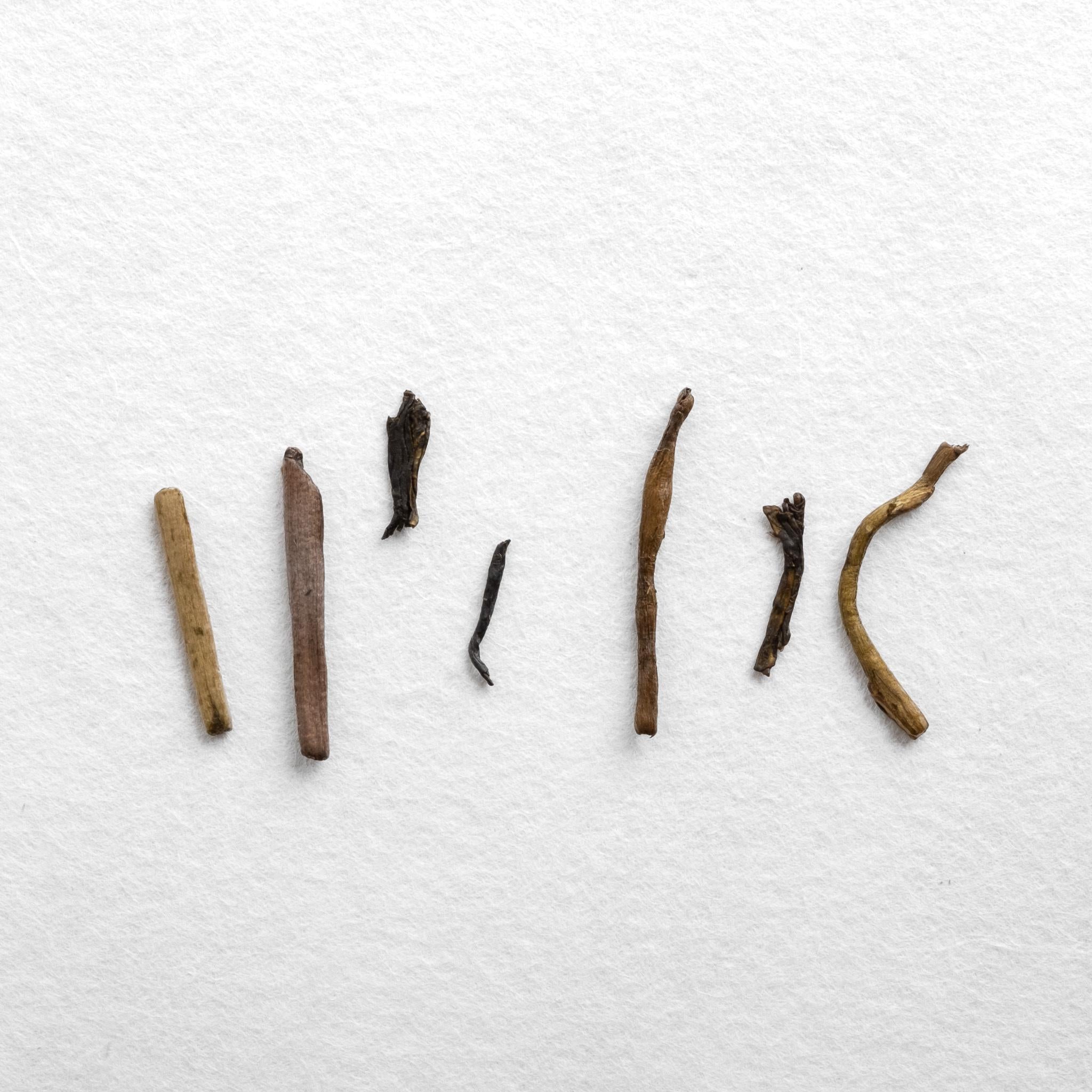 House Roasted Tamaryokucha Kukicha