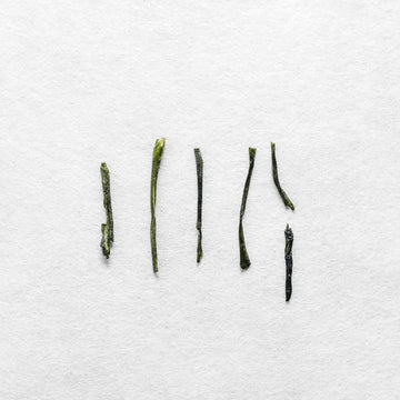 Chiran Sencha