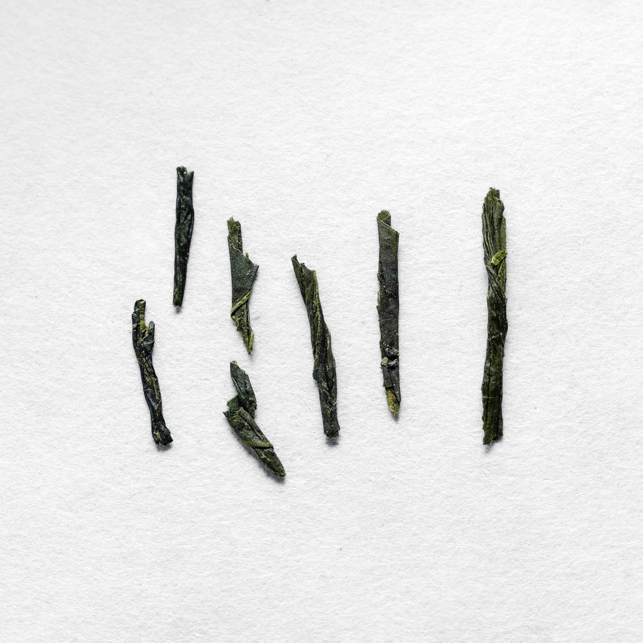 Ayame Kabuse Sencha