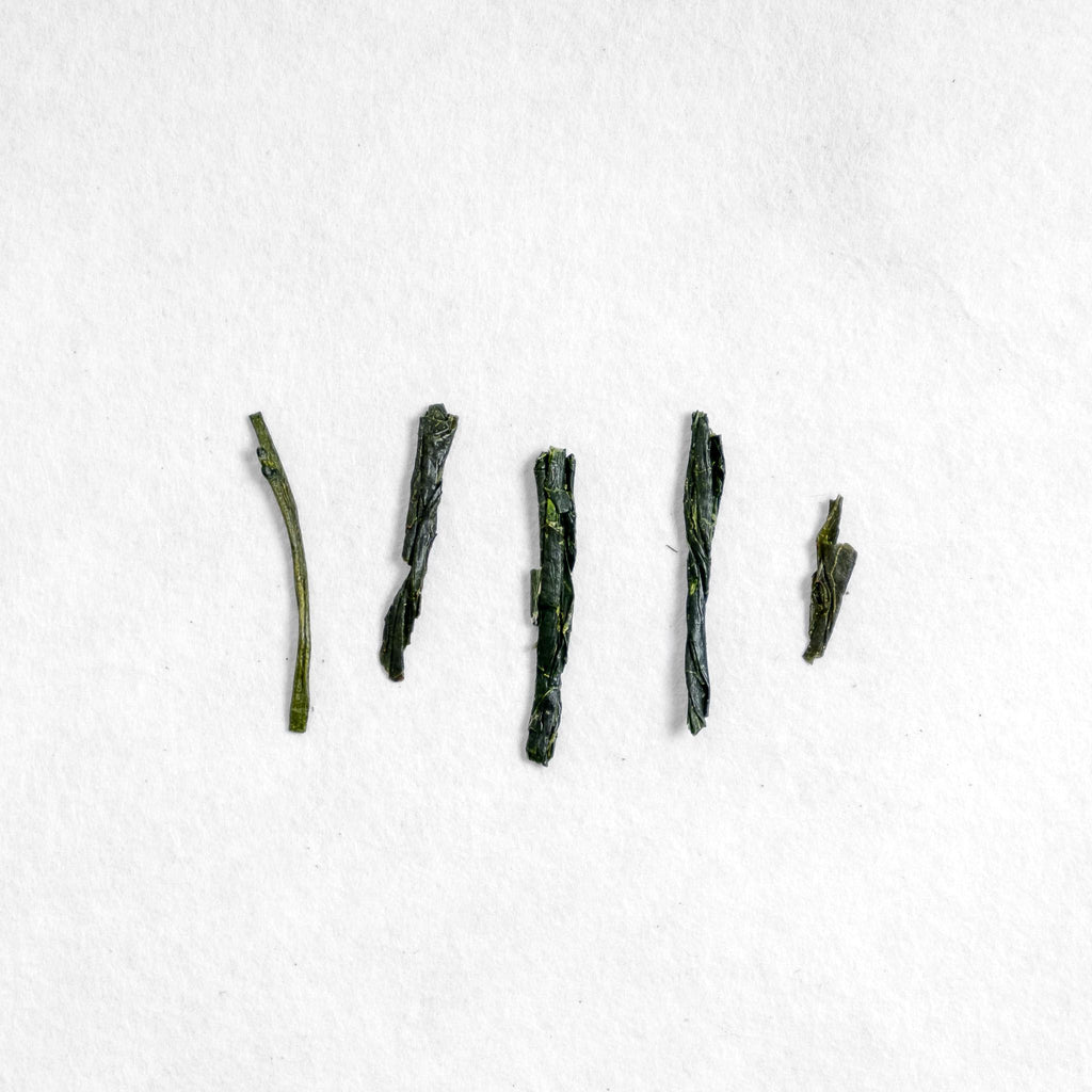 Kiriwaka Kaoru Sencha