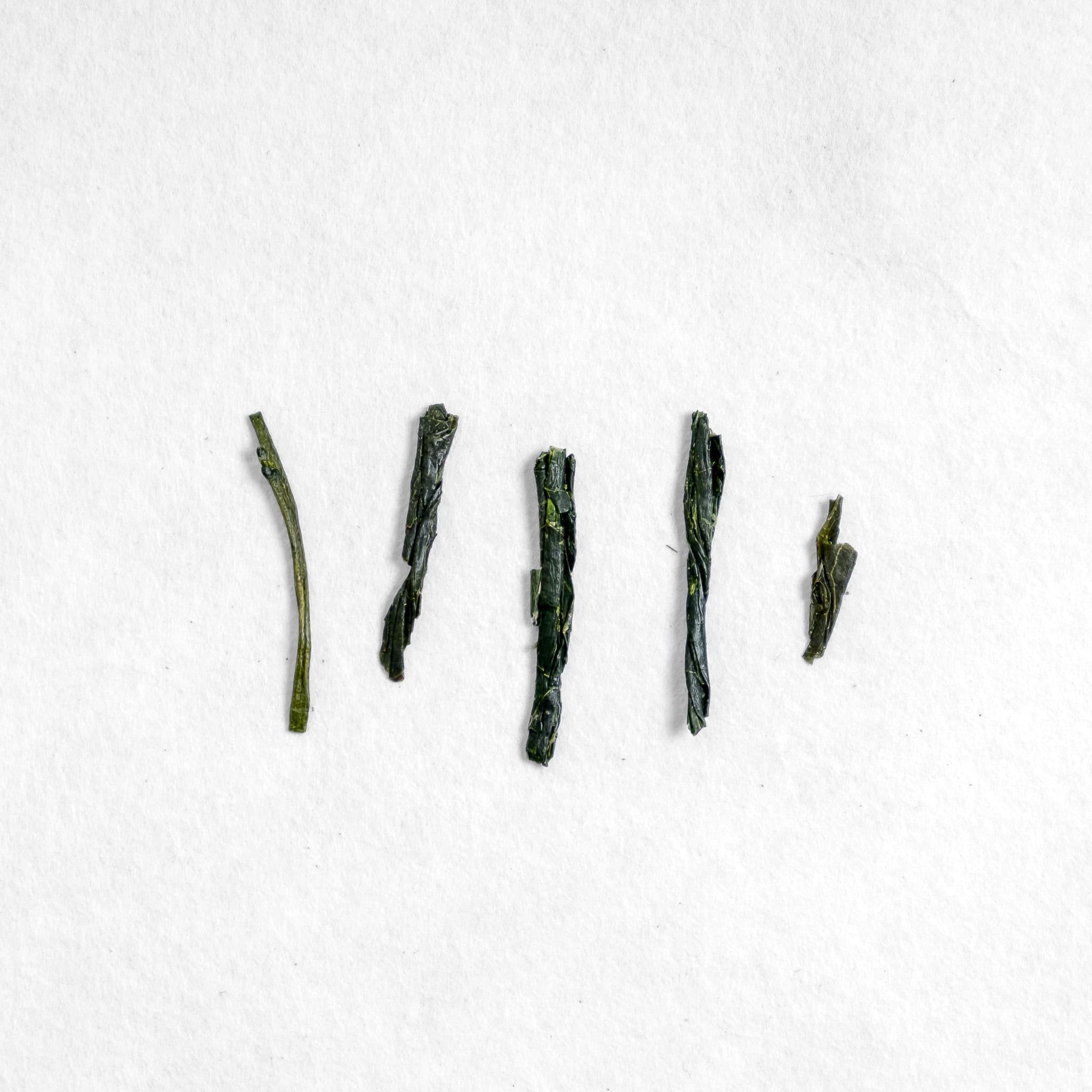 Kiriwaka Kaoru Sencha