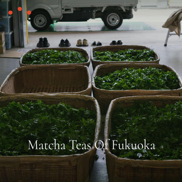 Class | Matcha Teas of Fukuoka