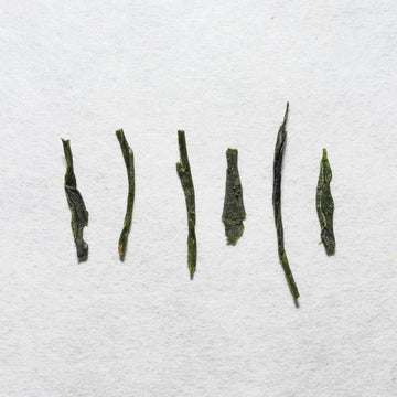 Uji No Sato Sencha